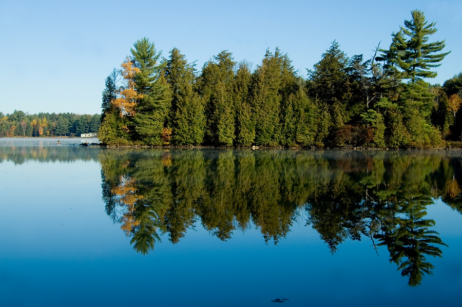 pine trees reflected in the calm clear waters of a country lake.
